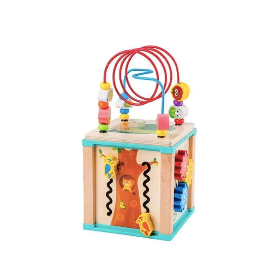 Jucarie Montessori Multifunctional tip Cubul cu Surprize, 2 Piese, Lemn