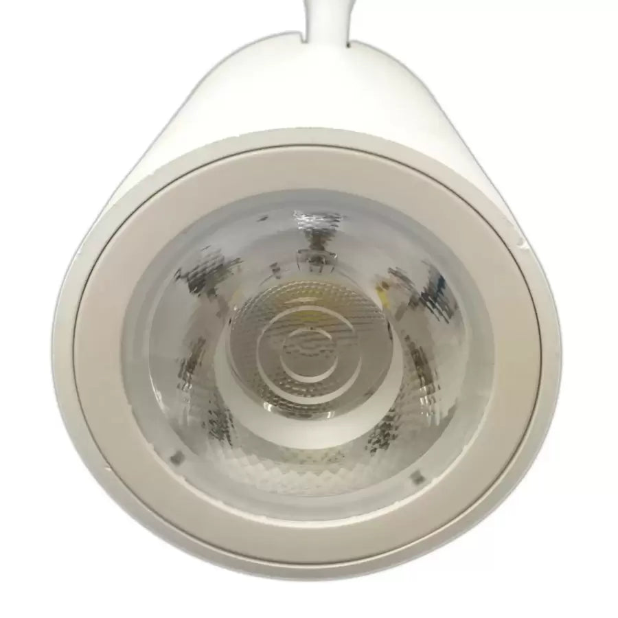 Proiector LED Sina 12W Alb