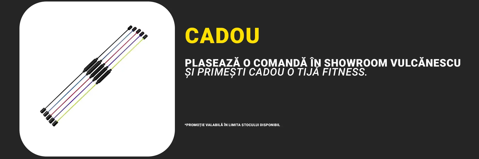 Banner Cadou Vulcanescu